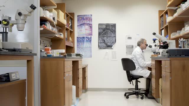 Sex Differences Identified in Deadly Brain Tumors
