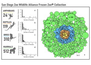 San Diego Zoo Wildlife Alliance Frozen Zoo® Collection