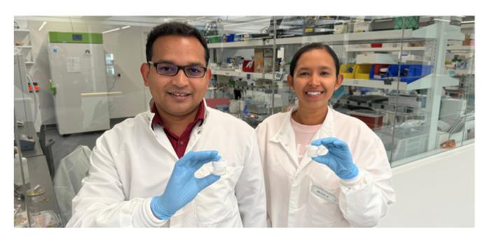 (Da esquerda para a direita) O investigador principal Dr. Johnson V. John e a pesquisadora de pós-doutorado Dra. Meenakshi Kamaraj apresentam o preenchimento granular injetável, que oferece uma abordagem inovadora para o tratamento de feridas diabéticas.