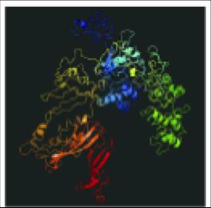 Figure 1: Predicted 3-D Structure