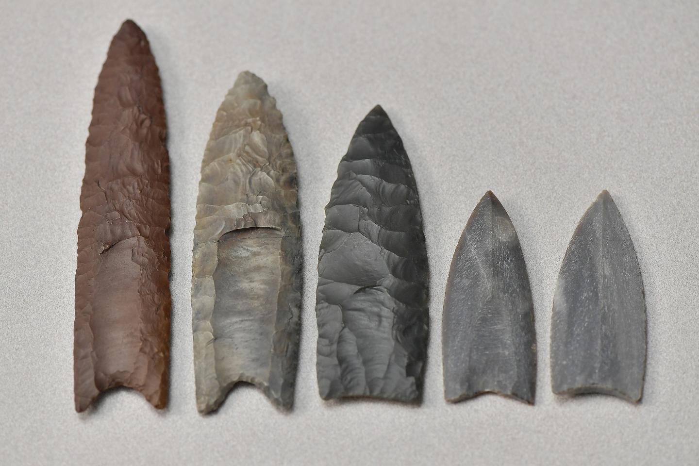 A Collection of Clovis Point Replicas and Casts