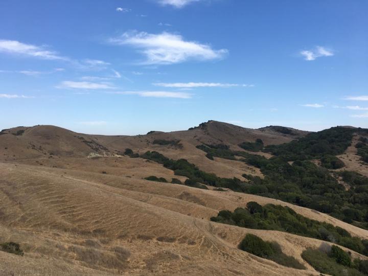 Dryland ecosystem in Northern California