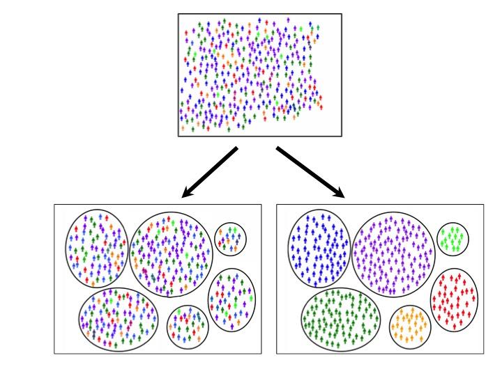 Subgrouping Alzheimer's Patients