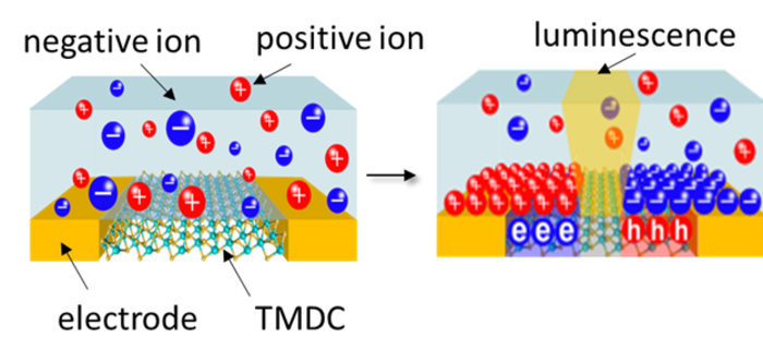 Ion gel layer and the TMDC in-plane heterostructure.