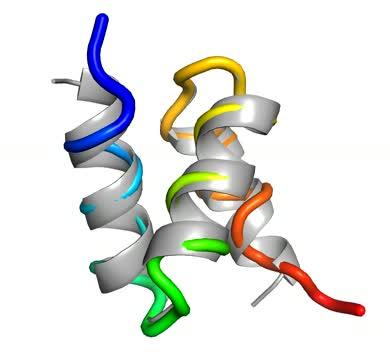 Computer Designed Protein