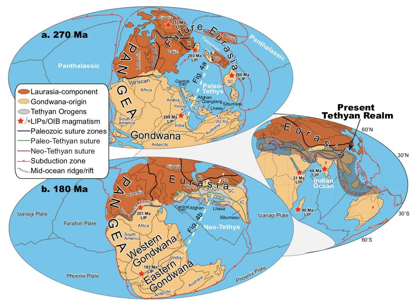 Global Paleomagnetic Plate Reconstructions