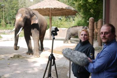 An Elephant that Speaks Korean (1 of 3)