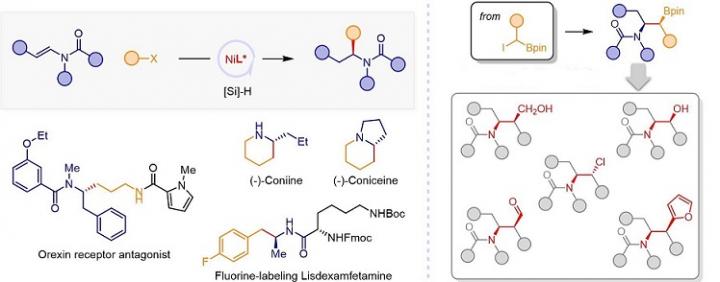 Catalytic Asymmetric Reductive Hydroalkylation of Enamides and Enecarbamates to Chiral Aliphatic