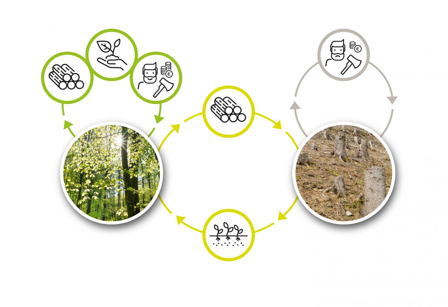 A Social Dilemma with a Variable Resource