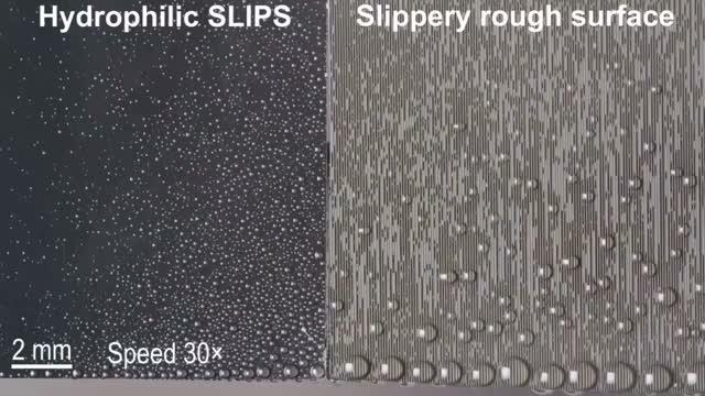 Liquid-Repellent Surface Maximizes Water Harvest and Transport (3 of 4)