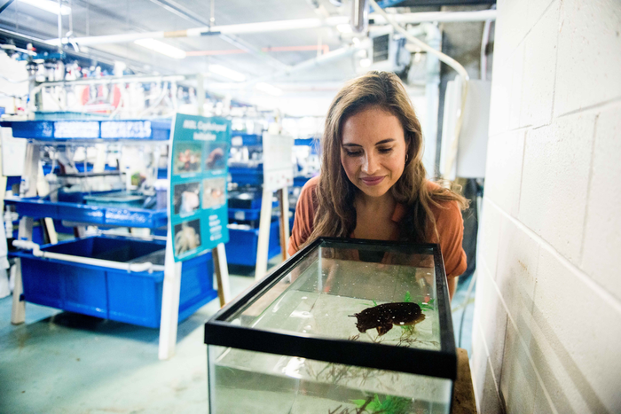Alex Schnell with cuttlefish tank at Marine Biological Laboratory