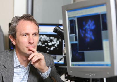 Image of the Rice Genome