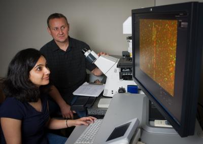 Exploring DNA Repair