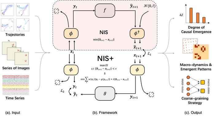 The architecture of Neural Information Squeezer Plus