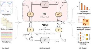 The architecture of Neural Information Squeezer Plus