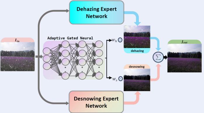 The schematic overview of the proposed degradation adaptive neural network