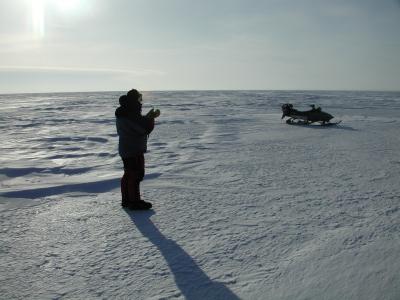 Arctic Sea Ice