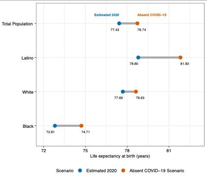 Updated Estimates of 2020 US Life Expectancy at Birth by Race and Ethnicity