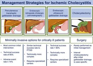 Management strategies for ischaemic cholecystitis.