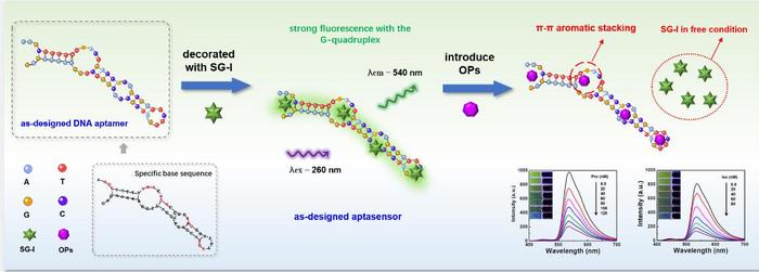 Novel Sensor Developed for Rapid Detection of Harmful Insecticides