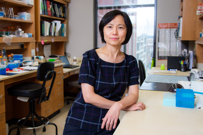 Dr. Qin Wang will lead new Program for Alzheimer’s Therapeutics Discovery at MCG