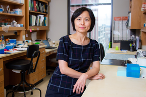 Dr. Qin Wang will lead new Program for Alzheimer’s Therapeutics Discovery at MCG