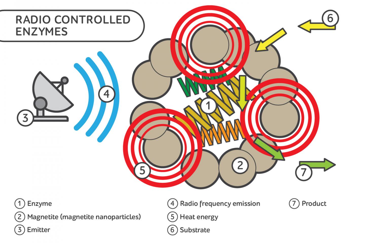Radio-Controlled Enzymes