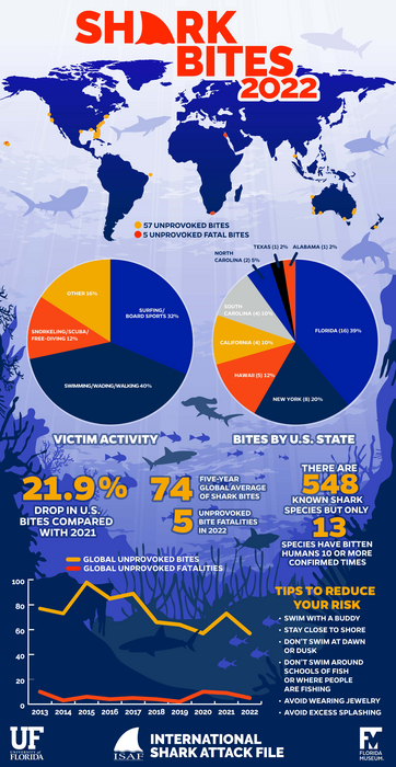 Global Shark Attack File — Shark Research Institute