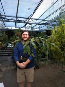 Alex Harkess with sequenced Amborella plant