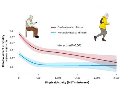 Cardiovascular Disease Patients Benefit More from Exercise Than Healthy People