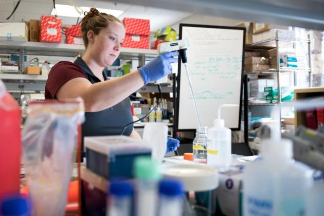 Examining Role Of Fluid Flow in Ovarian Cancer Progression