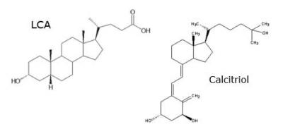 Bile Acids Mimic Vitamin D