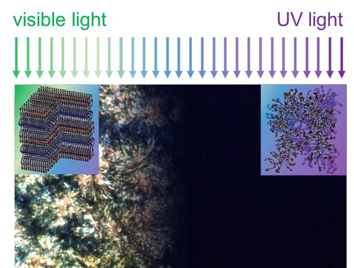 Light-Triggered Thermal Conductivity Switching In Azobenzene Polymers