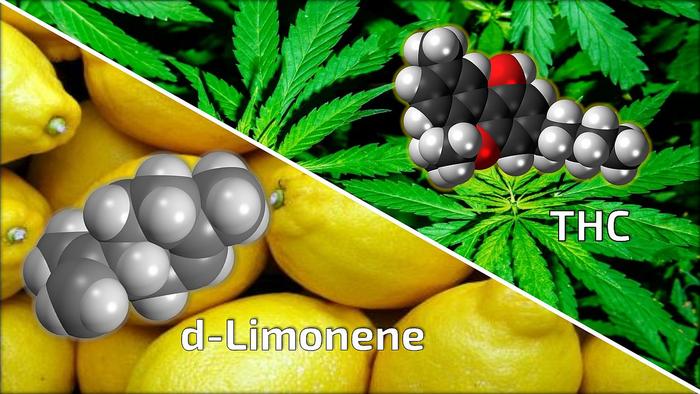 D-limonene