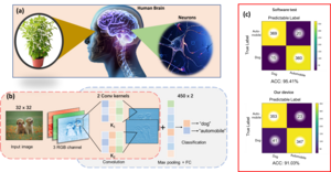 (a). Human visual perception system, (b). CNN model, and (c). The confusion matrix