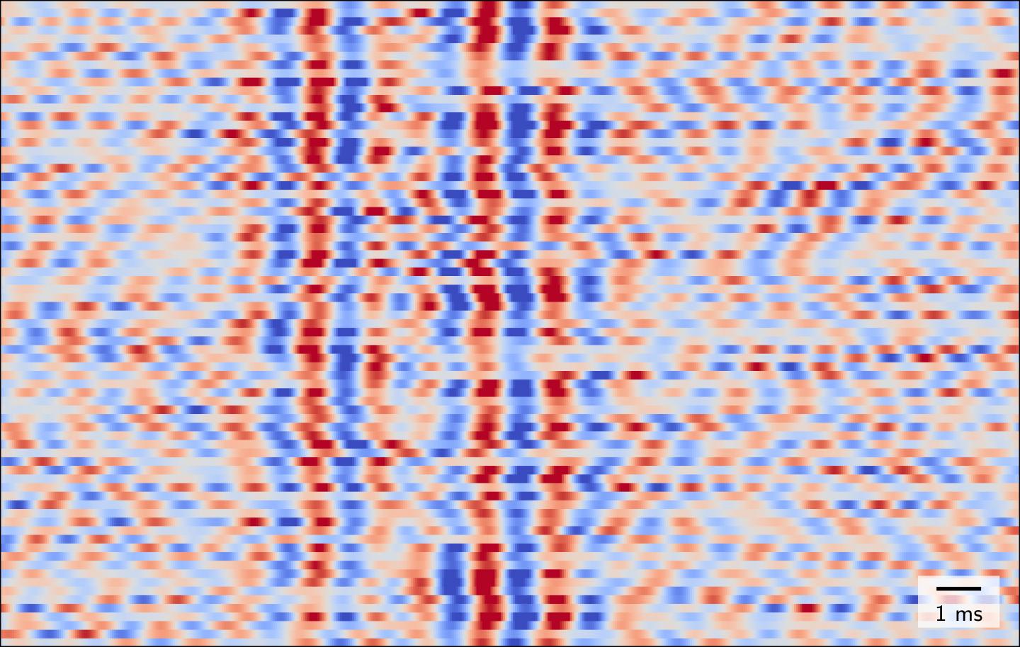 Noninvasively Measured Fast Brain Oscillations