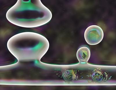 Arc Resembles Viruses