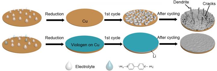 Methyl Viologen Process