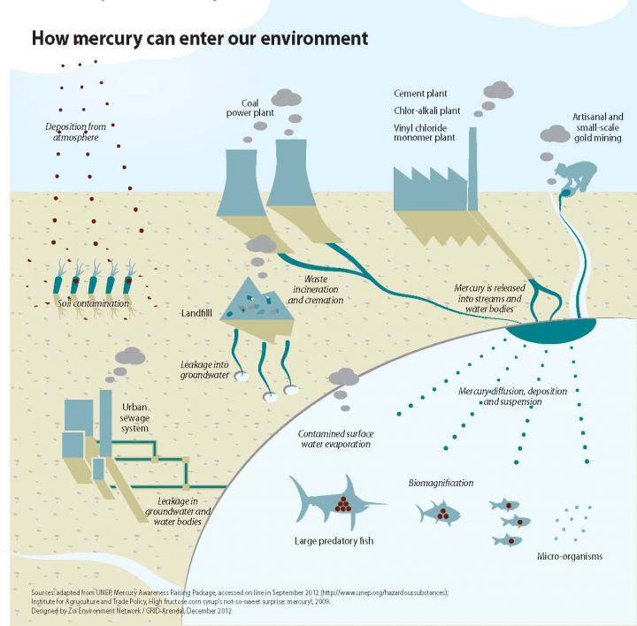 How Mercury Can Enter the Environment