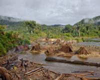 Illegal Logging in Protected Areas in Madagascar