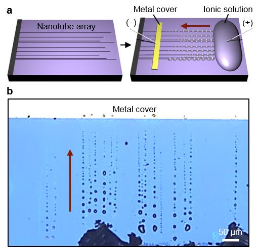 Formation of Salt Micro/nanocrystals