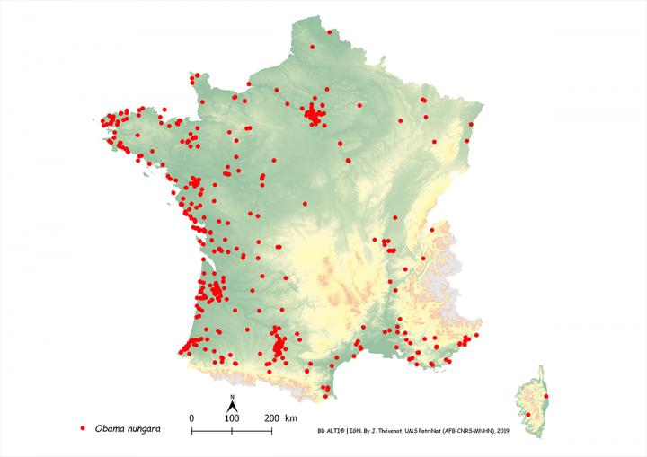 Invasion of France