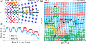 Radiation Damage Simulation Software Developed for Defect Accumulation Mechanisms Study in Polycrystalline Materials