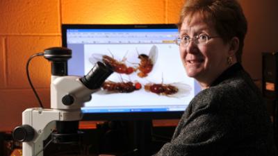 Dr. Trudy Mackay, North Carolina State University