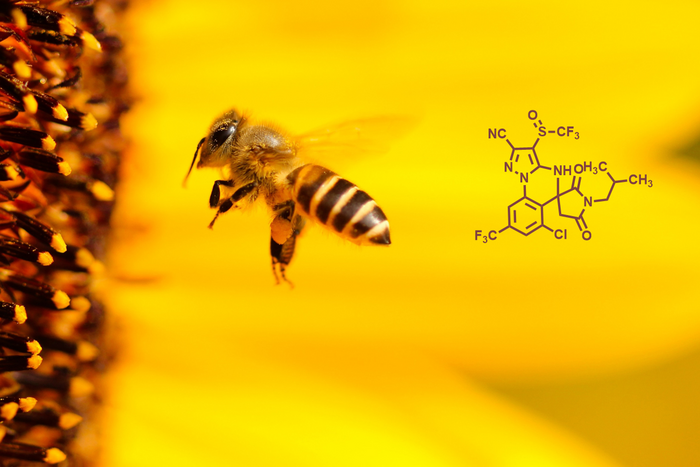 Honey bee and molecule