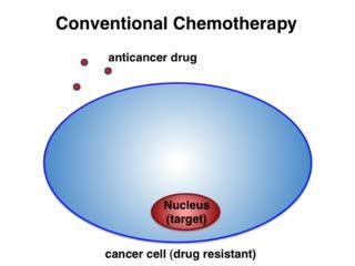 Soapy Drug Delivery to Cancer Cells (7 of 7)