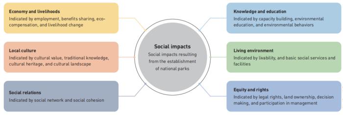 Categories and interpretation of the social impacts