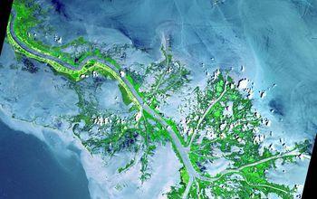 The Mississippi Delta