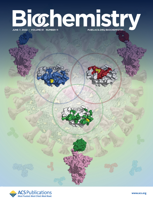 The cover of Biochemistry