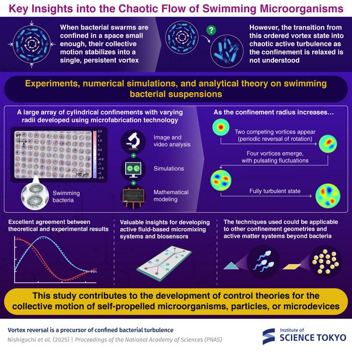 Key Insights into the Chaotic Flow of Swimming Microorganisms